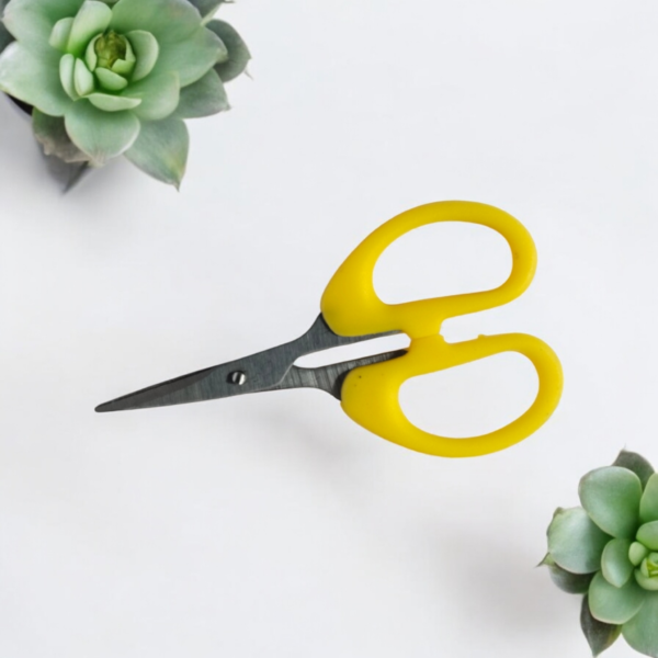 Amkay Stainless Steel Scissors – Precision and Durability in Every Cut!