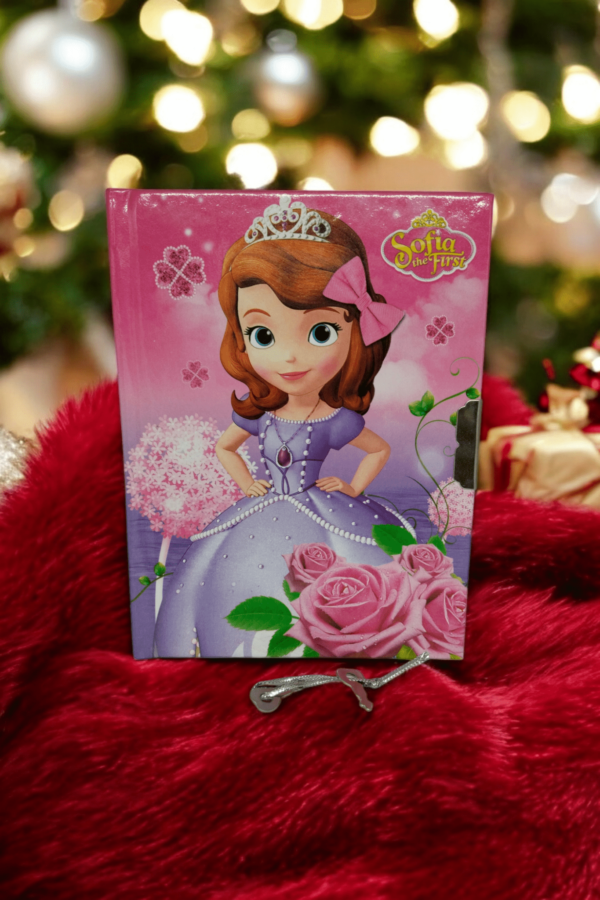 Princess Diary with Lock and Key
